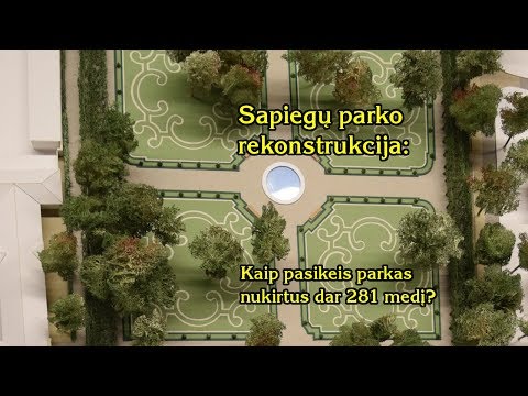 Video: Kaip Organizuoti Projekto Darbą