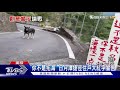 "你不是拓海" 日月潭捷徑住戶大紅字警告｜TVBS新聞