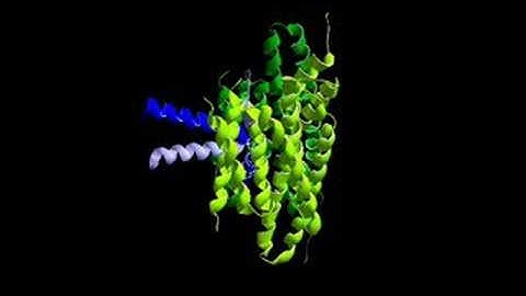 H+-ATPase PMA2 14-3-3 science vs Smolik-Om