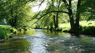 JANGAN TUNGGU LAMA LAMA -CICI PARAMIDA COVER REGGAE SKA LAGU INDONESIA VIRAL TIKTOK 2026 TANPA IKLAN