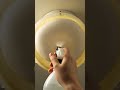 ❄️ Mold = Gone! #cleantech #asmr #restoration