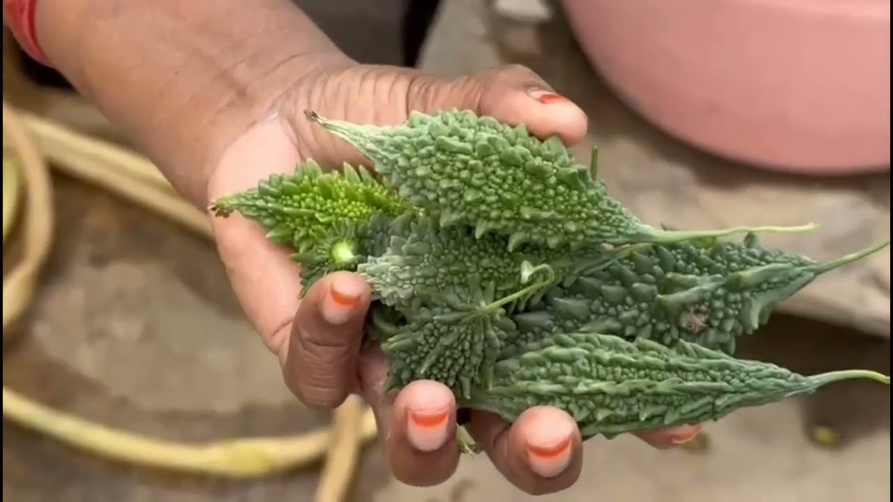 Vegetables harvest#trending#viralvideo #ytshorts 