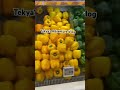 Grocery time | Seletar Mall