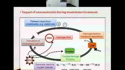 Transformation, Fate and Impacts of Engineered Nanomaterials during Buiological Wastewater Treatment