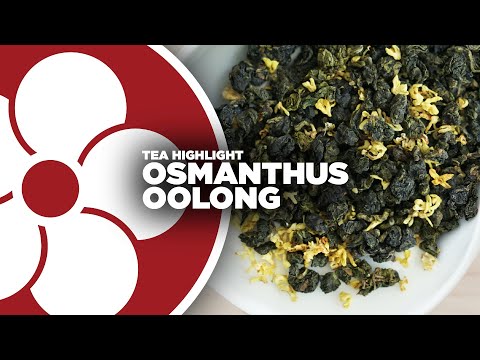 Osmanthus Oolong
