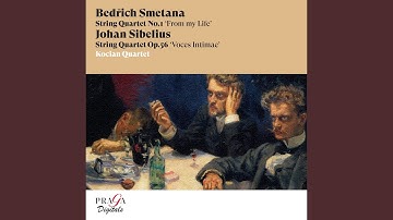 String Quartet in D Minor, Op. 56 "Voces Intimae": I. Andante - Allegro molto moderato