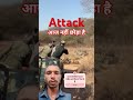 इसम क तन र स क ह Angrytiger Tiger Shortvideo Shortsfeed Wildlife Funny Fun Lion Tiger