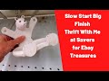 Slow Start Big Finish -Thrift With Me at Savers for Ebay Treasures