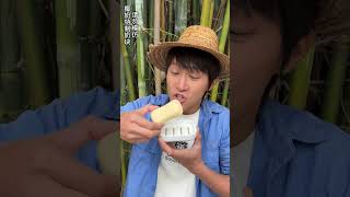 Slate Roasted Coconut Milk |Chinese Mountain Forest Life And Food #MoTiktok #Fyp