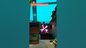 Raze 101 on satchel