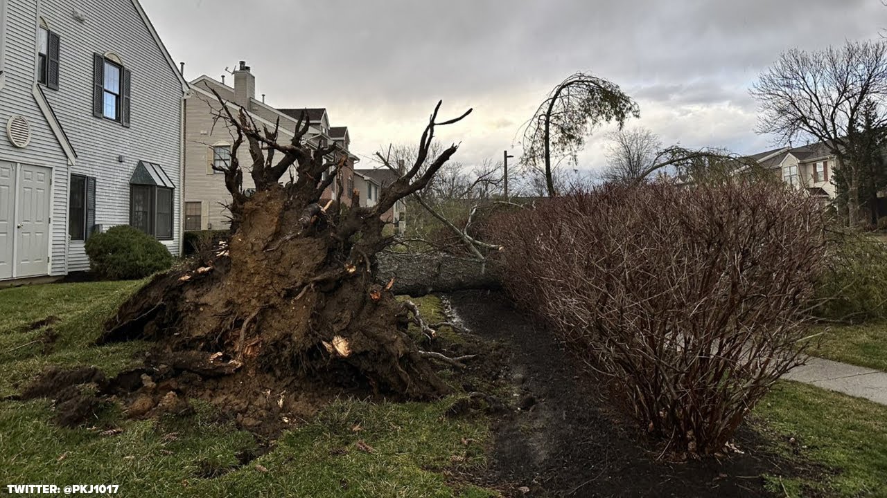 Severe storms leave behind trail of destruction in parts of NJ - YouTube