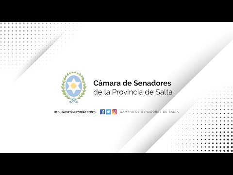 VIVO - 21° SESIÓN ORDINARIA - 124° PERIODO LEGISLATIVO - CÁMARA DE SENADORES DE SALTA