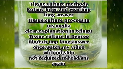 Tissue culture methods In Inter 2nd year and  5th sem  clear explanation sravani