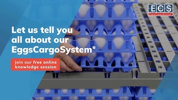 Join our EggsCargoSystem® knowledge session