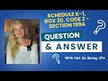 Schedule K-1, Box 20, Code Z - Entering each underlying activity separately? Subscriber Q&A Special