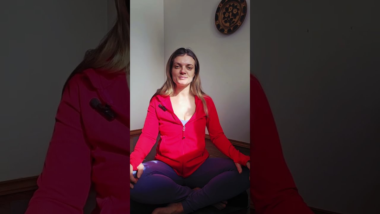 QUICK 10 minute YOGA Stretch | Seated | Easy & Gentle 