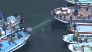 沈没船の引き揚げ作業開始 小学生ら救助の香川沖事故