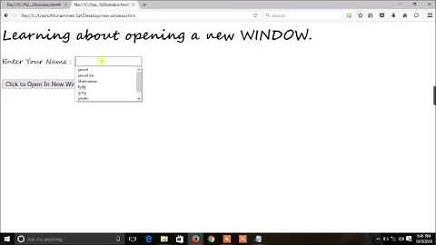 JavaScript - 3.New Window and Alert( )