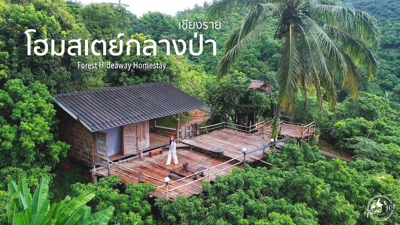 ขึ้นดอยนอนโฮมสเตย์กลางป่า สัมผัสน้ำตกลับๆ กินข้าวกระบอกไม้ไผ่ เชียงราย | Forest Homestay EP.168