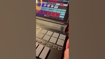 koala sampler and korg nanokey studio new year