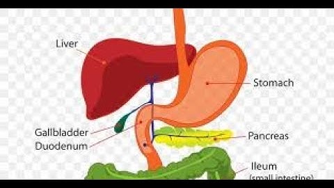 From Tasting To Digesting Part 3