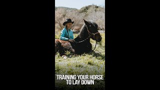 How to Teach Your Horse to Lay Down #Shorts