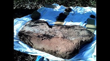 Secret Source of my Mudfossils Find your own