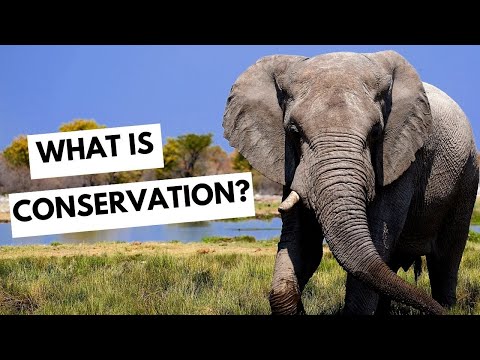 Why Do We Need To Conserve Our Nature Reserve