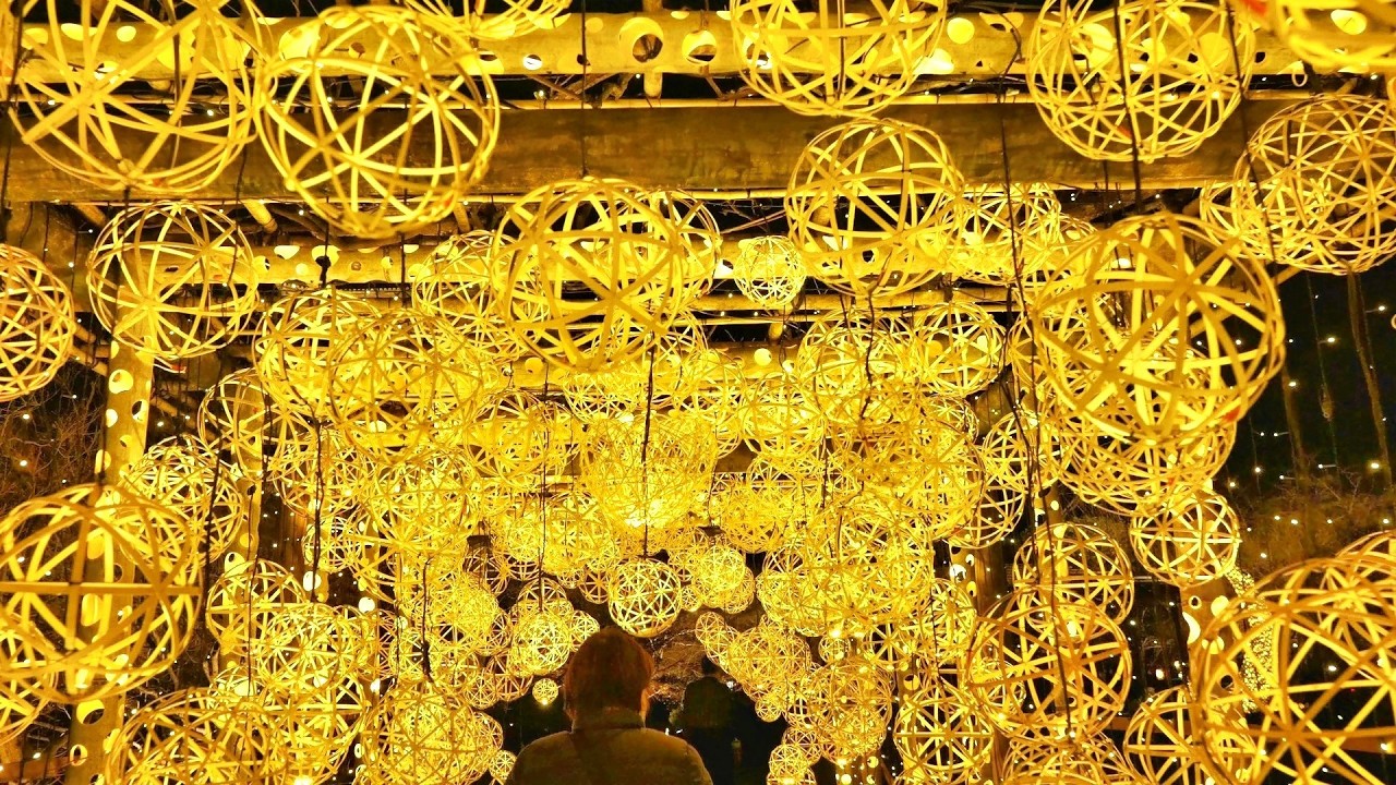 東寺　月回廊　2026 02 23　京都府京都市  しほの旅日記