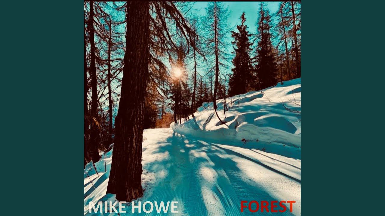 Guarda Forest su YouTube Guarda Forest su YouTube