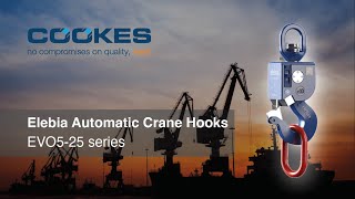 Famous Introduction to Elebia Automatic Crane Hooks - EVO5-25 series Profile