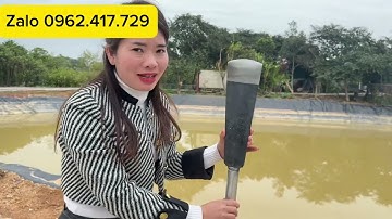 DỤNG CỤ ĐÁNH CÂY CẢNH QUẤT MAI ĐÀO ĐỒ THÉP NHÍP CHUẨN SỊN HÀNG GIÁ RẺ TẠI XƯỞNG LÒ RÈN ♥️♥️♥️