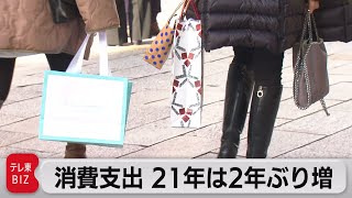 21年の消費支出 平均27万9,024円　前年比増も低水準（2022年2月8日）