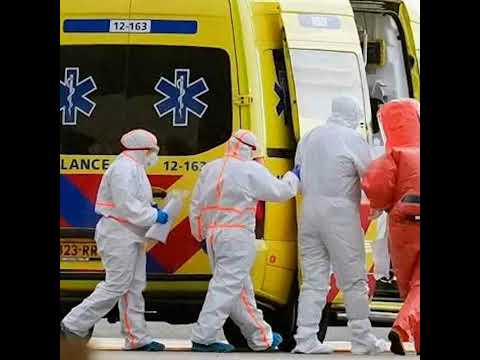 Video Hantavirus, in arrivo la circolare, il Ministero rassicura: «Nessun caso»