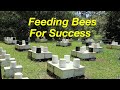 The Chemistry Behind Feeding Bees