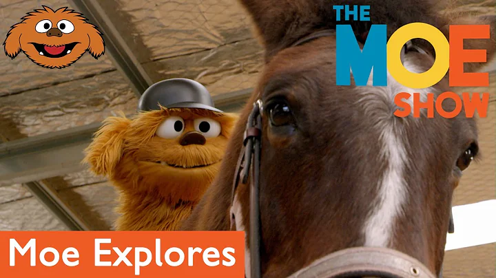 The Moe Show: Moe Explores - Horse Riding