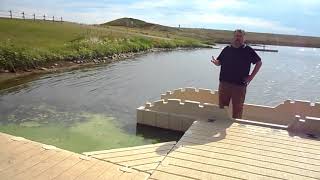 What is blue-green algae and why should we avoid it?