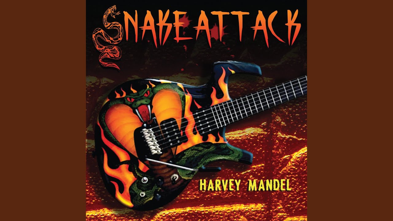 Packin' adlı videoyu YouTube'da izle Packin' adlı videoyu YouTube'da izle