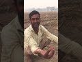Yaar tera amli