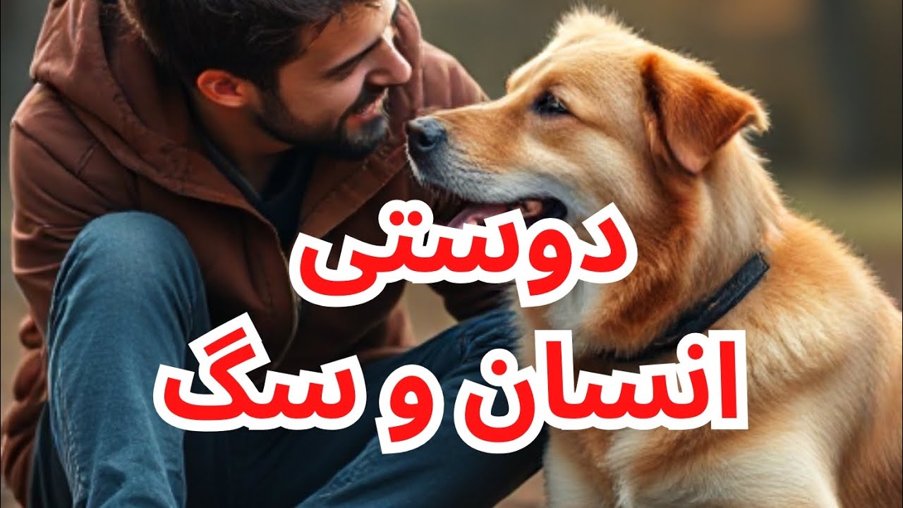 فیلم سکسی سگ با انسان