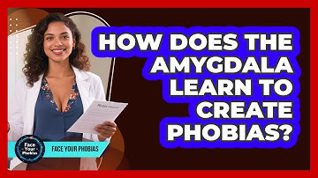 How Does The Amygdala Learn To Create Phobias? - Face Your Phobias