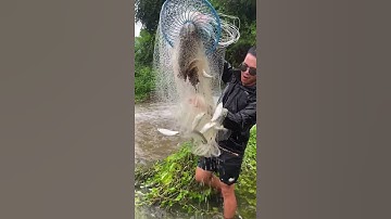 Most Satisfying Cast Net Fishing Video - Traditional Net Catch Fishing in The River Ep05