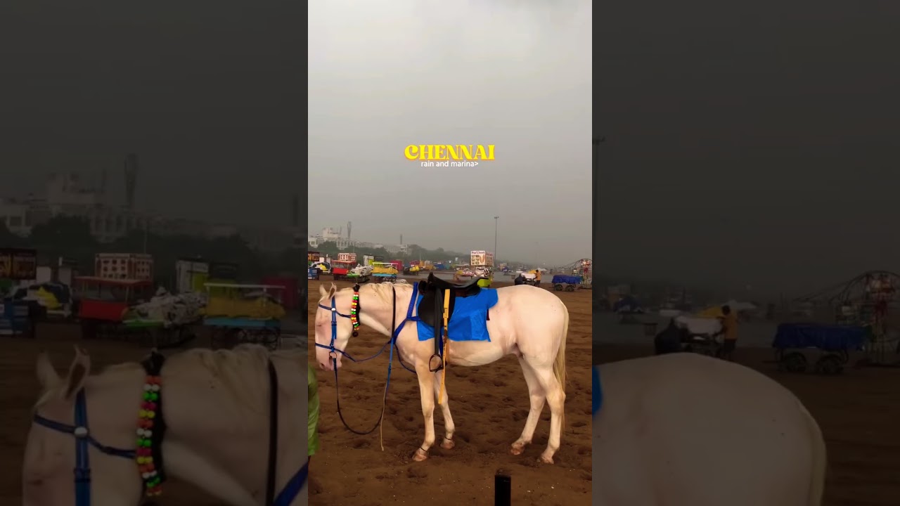 Chennai Marina Magic ✨ Hidden Beach Chennai Marina Magic ✨ Hidden Beach