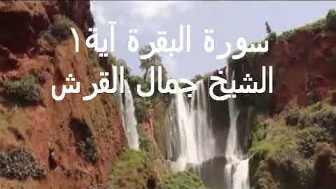 تعليم سورة البقرة اية ١ جمال القرش