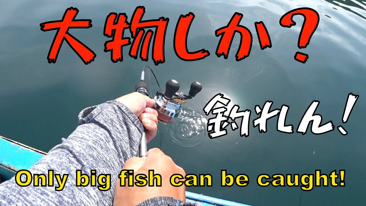 【ダンゴ釣り】大物ウジャウジャ！！ココは釣り堀か？？午前中で終了（笑）