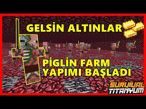 TİTANYUMDA PİGLİN FARMINA