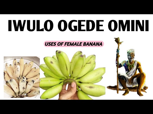 Qora va oq qolda chizilgan erotik rasmlar