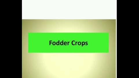 Introduction to fodder crops