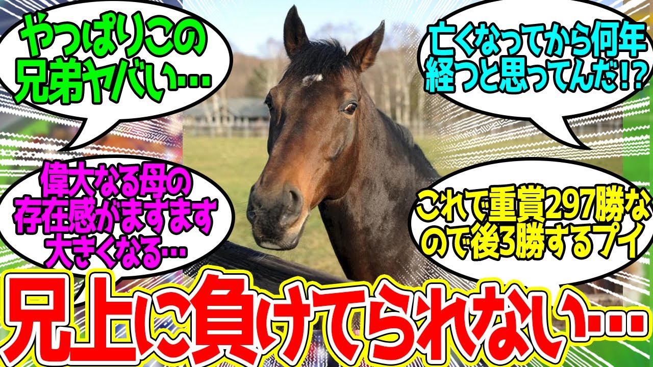ディープインパクト産駒重賞勝利 ← 永遠に産駒が重賞勝ってんなコイツ…に対するみんなの反応！【競馬 の反応集】