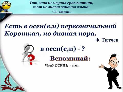 Правописание окончаний существительных в единственном числе